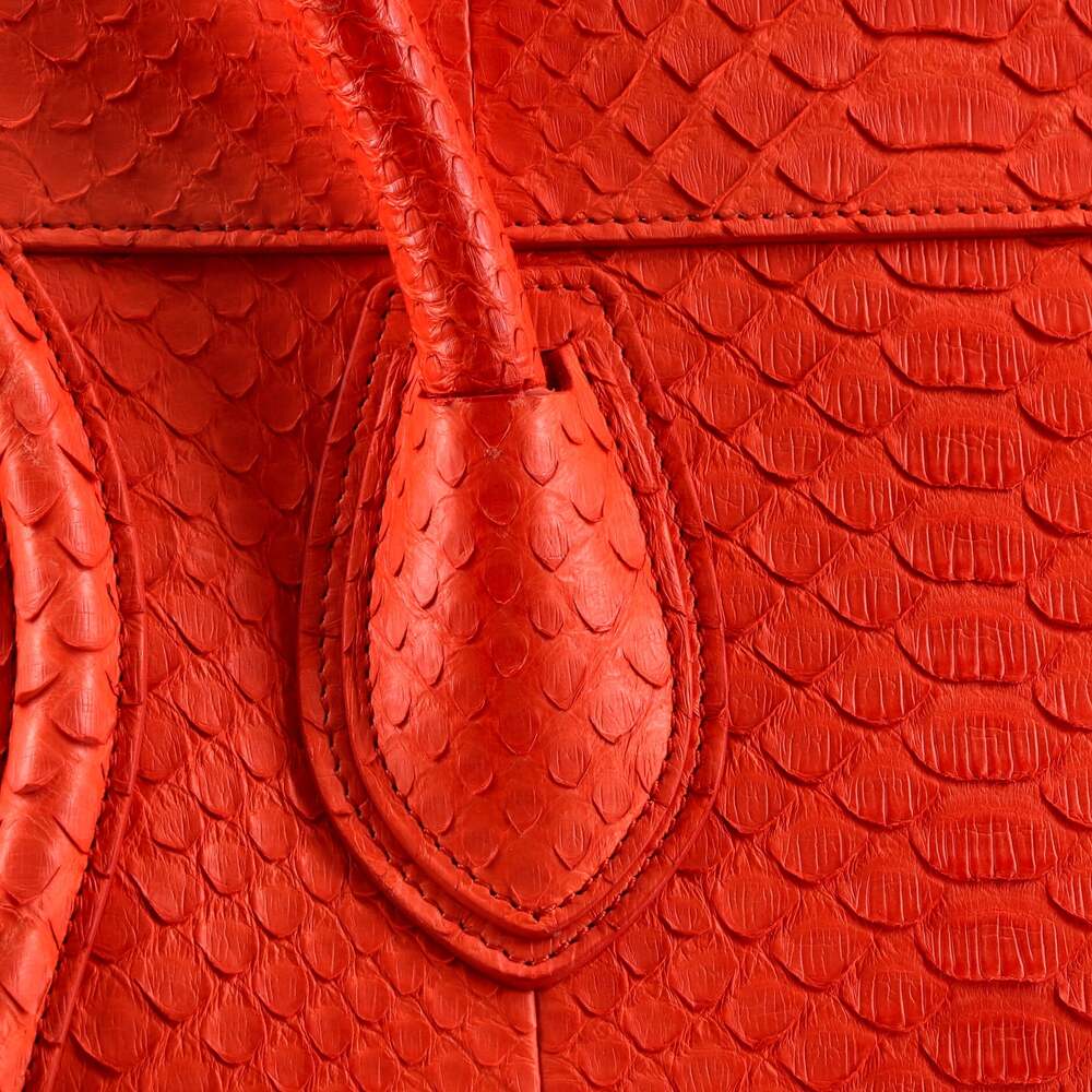 Celine Luggage Bag Python Mini #240768C11B - image 7